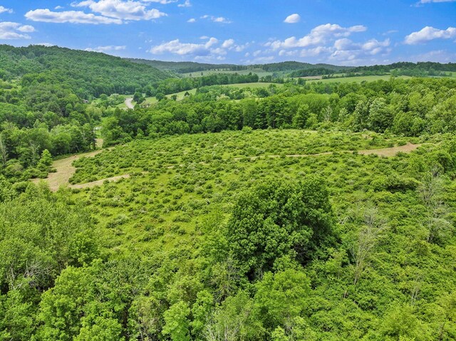 0 Locey Creek Rd, Middlebury Center, PA 16935 - photo 10