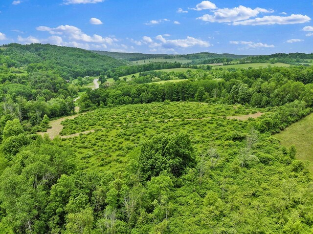 0 Locey Creek Rd, Middlebury Center, PA 16935 - photo 15