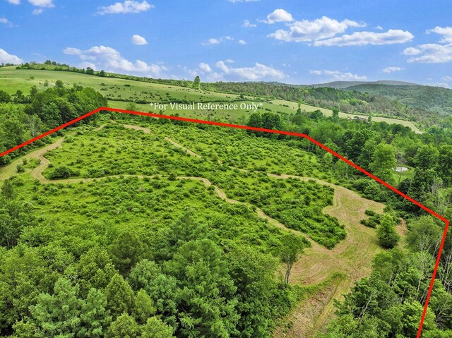 0 Locey Creek Rd, Middlebury Center, PA 16935 - photo 4
