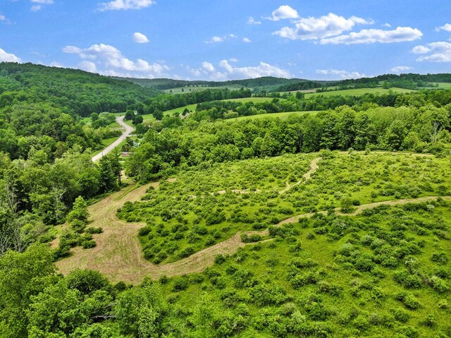 0 Locey Creek Rd, Middlebury Center, PA 16935 - photo 7