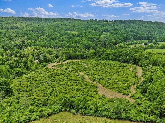 0 Locey Creek Rd, Middlebury Center, PA 16935 - photo 21