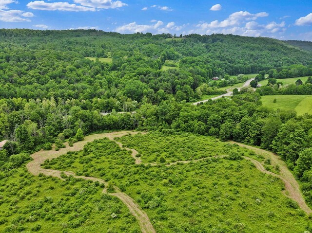 0 Locey Creek Rd, Middlebury Center, PA 16935 - photo 24