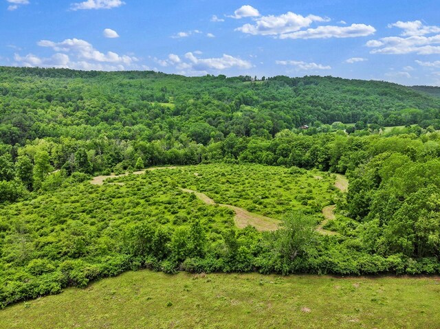 0 Locey Creek Rd, Middlebury Center, PA 16935 - photo 19