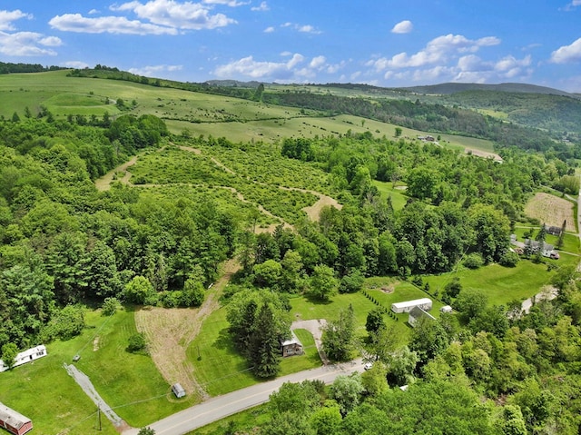0 Locey Creek Rd, Middlebury Center, PA 16935 - photo 33