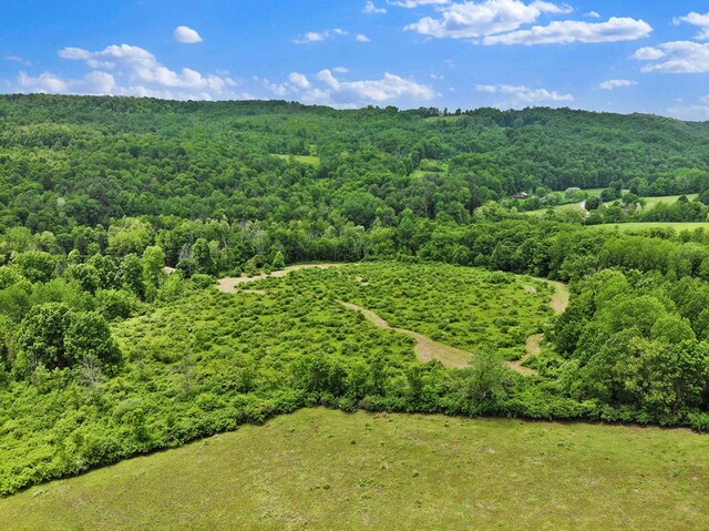 0 Locey Creek Rd, Middlebury Center, PA 16935 - photo 23
