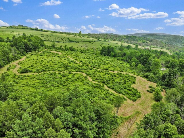 0 Locey Creek Rd, Middlebury Center, PA 16935 - photo 5