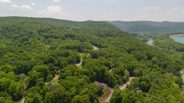 105 Laurel Ln, Sayre, PA 18840 - aerial view of a forest and a nearby body of water