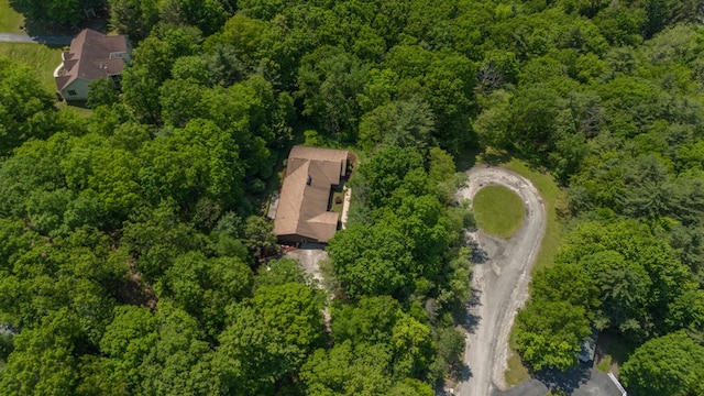 105 Laurel Ln, Sayre, PA 18840 - aerial view of property's location with a forest