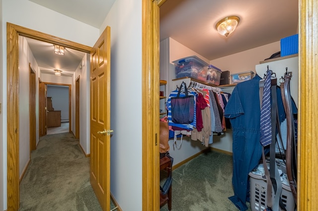 105 Laurel Ln, Sayre, PA 18840 - spacious closet featuring carpet