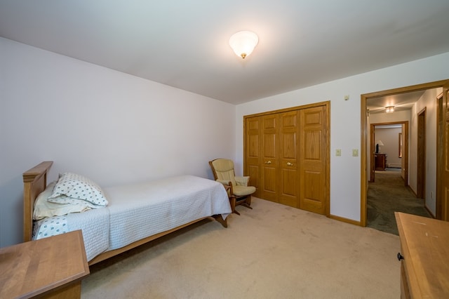 105 Laurel Ln, Sayre, PA 18840 - bedroom with carpet and a closet