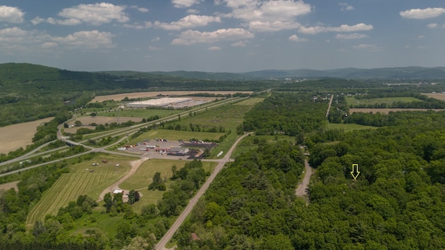 105 Laurel Ln, Sayre, PA 18840 - aerial view of sparsely populated area