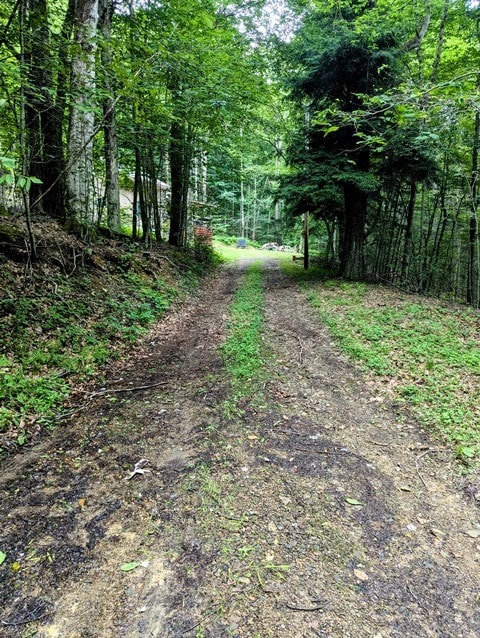 198 Spring Run Rd, Smethport, PA 16749 - view of dirt / gravel road featuring a view of trees