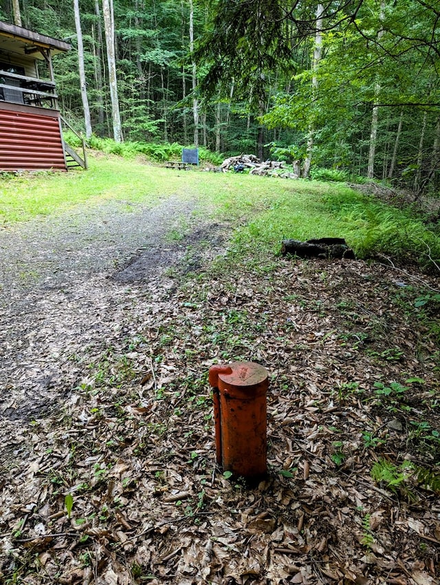 198 Spring Run Rd, Smethport, PA 16749 - view of yard featuring a wooded view