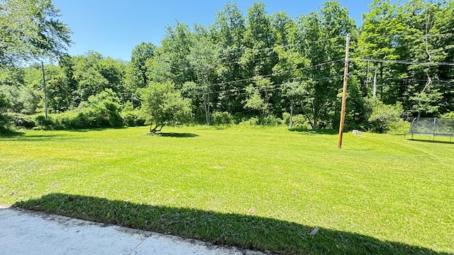 1017 Pennsylvania Ave, Monroeton, PA 18832 - photo 37