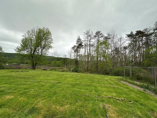 3092 Rte 155, Port Allegany, PA 16743 - view of yard