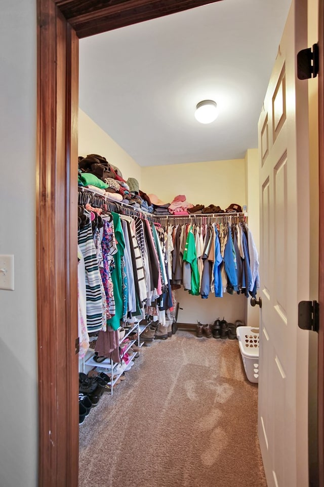 spacious closet featuring carpet floors