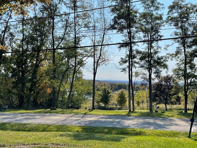 view of street