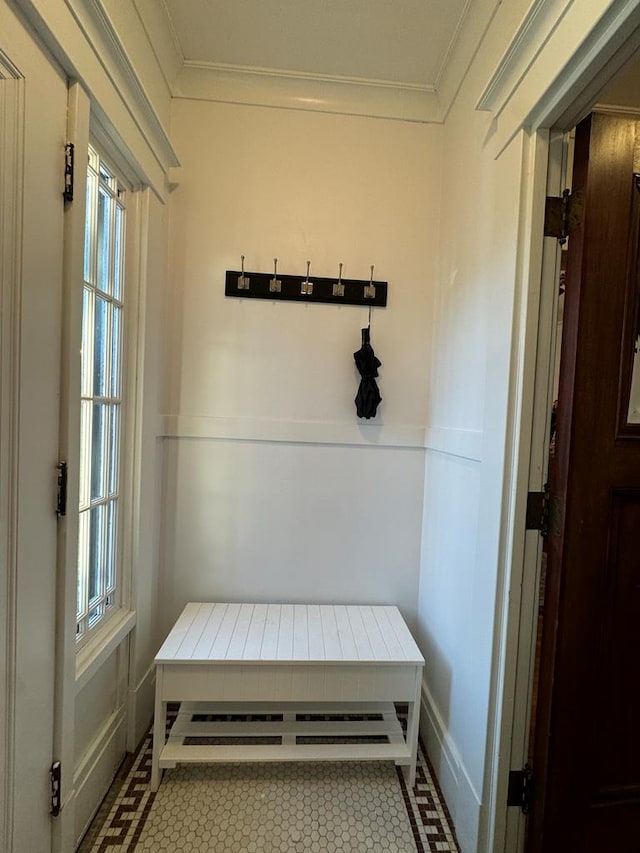 mudroom with ornamental molding, tile patterned floors, and a healthy amount of sunlight