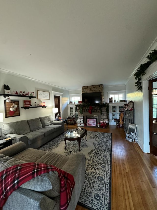 living area featuring crown molding, a fireplace, and wood finished floors