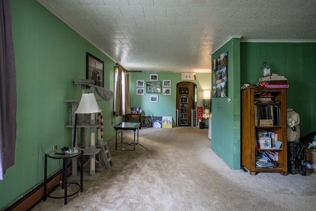 64 Extension St, Mansfield, PA 16933 - living area featuring carpet flooring, arched walkways, a baseboard radiator, ornamental molding, and wooden walls