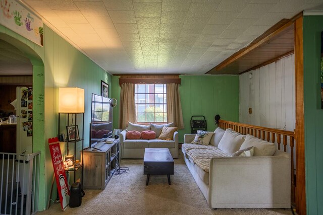 64 Extension St, Mansfield, PA 16933 - living room with carpet flooring, arched walkways, and wooden walls