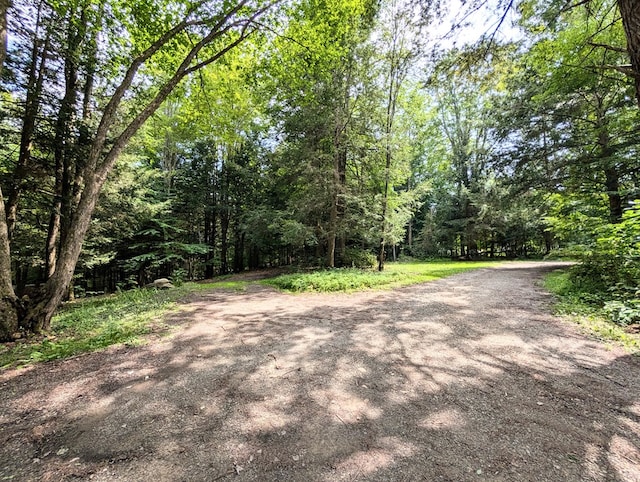 2564 Hills Creek Lake Rd, Wellsboro, PA 16901 - photo 36