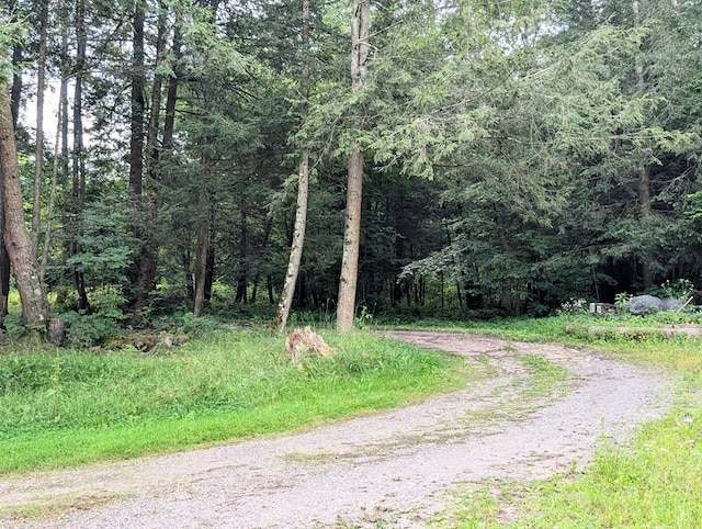 2564 Hills Creek Lake Rd, Wellsboro, PA 16901 - photo 34