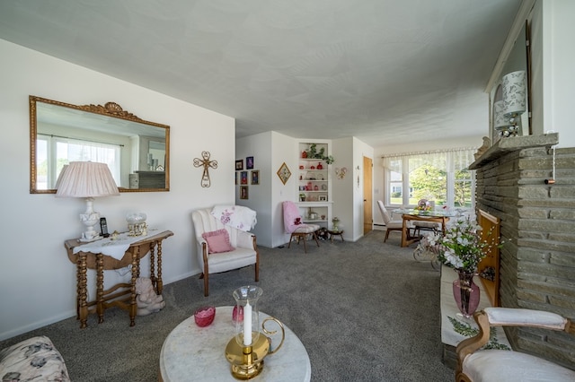 517 Mohawk St, Sayre, PA 18640 - view of carpeted living area