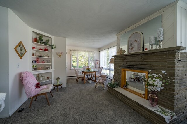 517 Mohawk St, Sayre, PA 18640 - living area with carpet, baseboards, and a stone fireplace