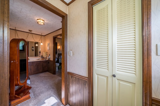 517 Mohawk St, Sayre, PA 18640 - bathroom featuring toilet, vanity, a closet, and ornamental molding