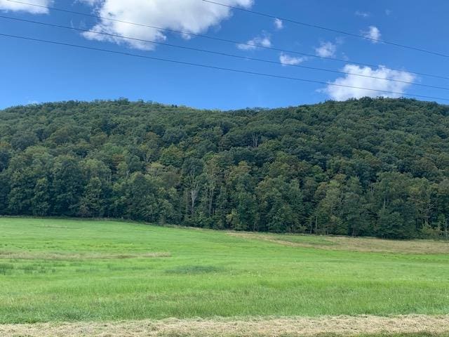 0 Rte 187, Wysox PA, 18854 land for sale