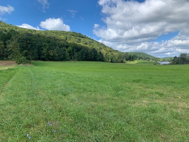 0 Rte 187, Wysox, PA 18854