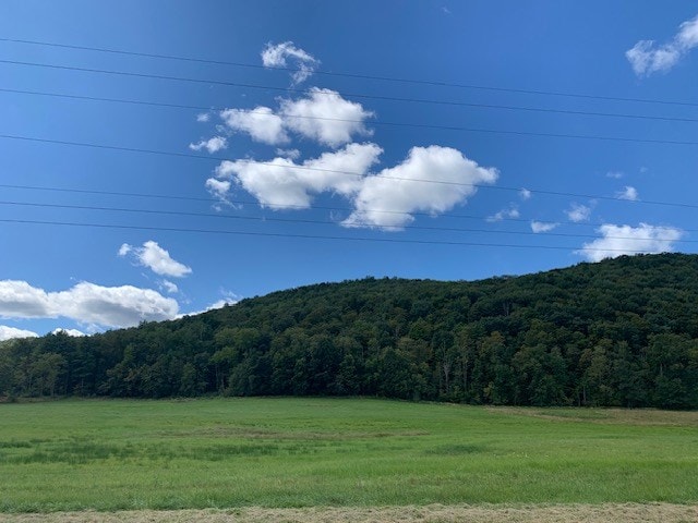 0 Rte 187, Wysox, PA 18854