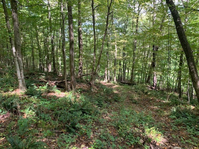0 Rte 187, Wysox, PA 18854