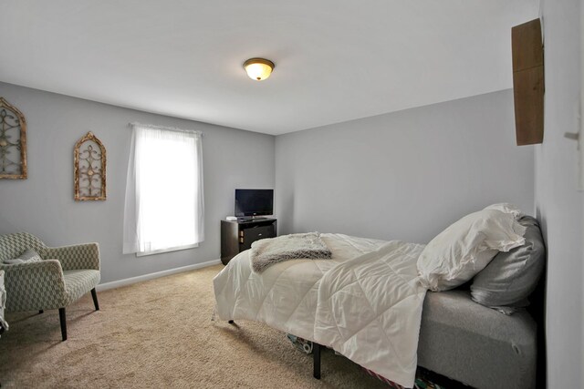 40 Wetmore St, Wellsboro, PA 16901 - bedroom with carpet flooring and baseboards