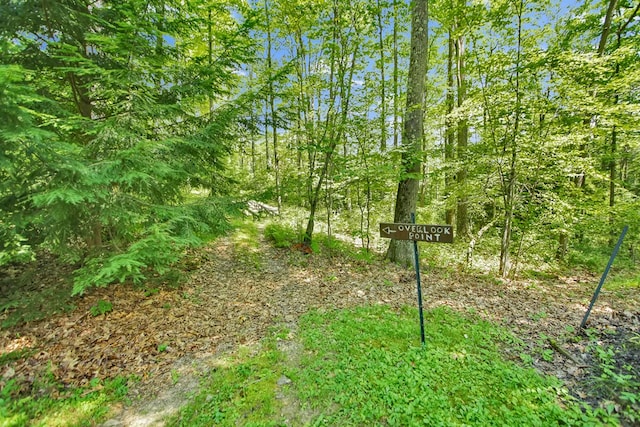 300 Laurel Crest Rd, Westfield, PA 16950 - photo 35