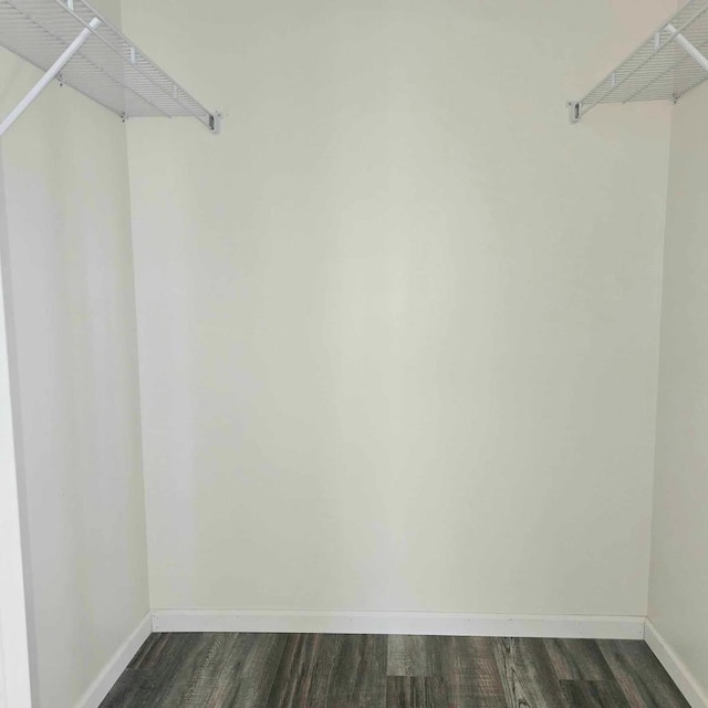 walk in closet with dark hardwood / wood-style flooring