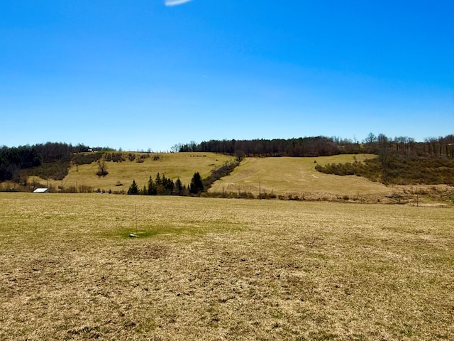 view of local wilderness with a rural view