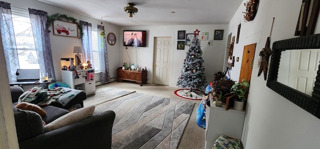 living room featuring light colored carpet