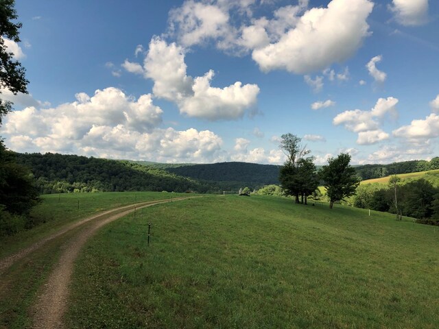 377 Bingham Center Rd, Genesee, PA 16923