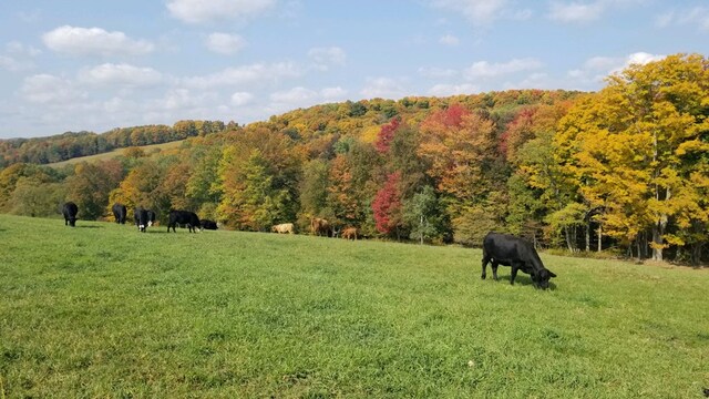 377 Bingham Center Rd, Genesee, PA 16923