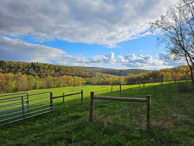 377 Bingham Center Rd, Genesee, PA 16923