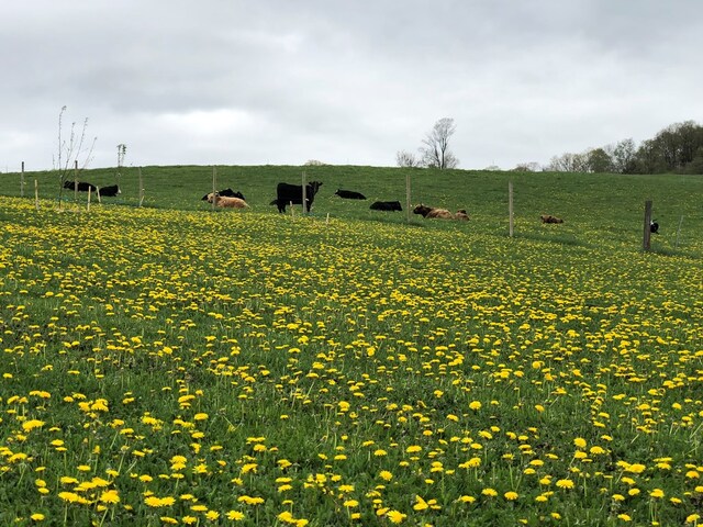 377 Bingham Center Rd, Genesee, PA 16923
