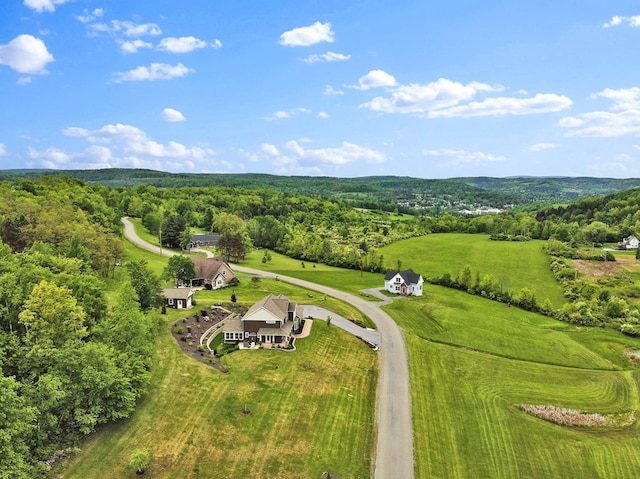 77 Hunters Trl, Wellsboro, PA 16901 - view from above of property featuring a forest