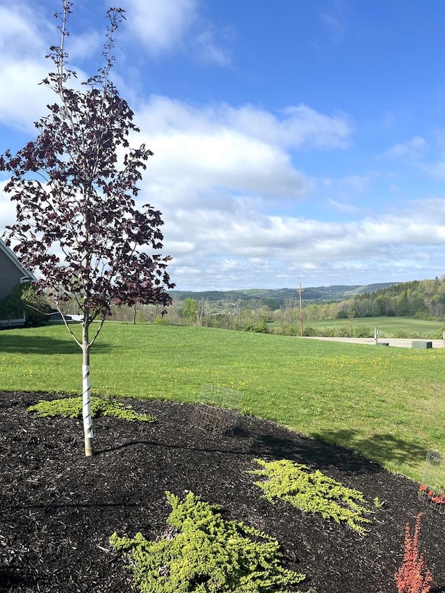 77 Hunters Trl, Wellsboro, PA 16901 - photo 46