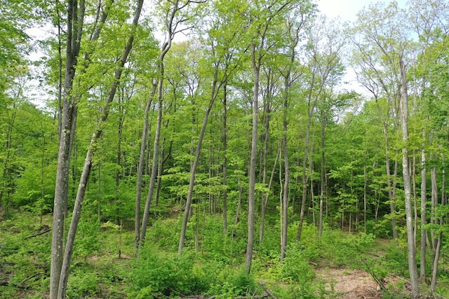 000 Old Township Rd, Coudersport, PA 16915 - photo 7