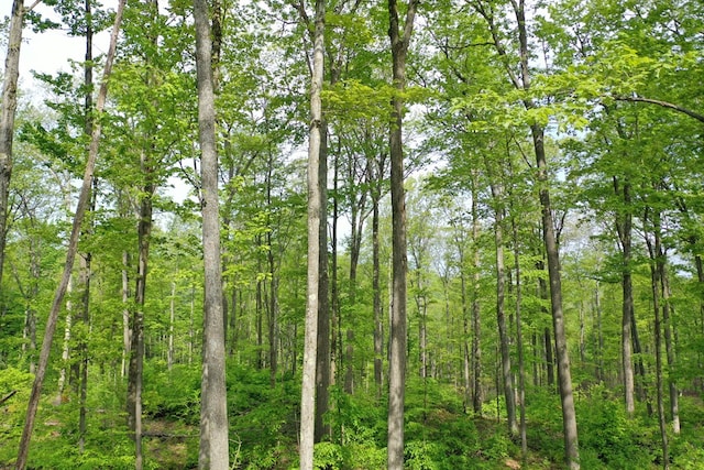 000 Old Township Rd, Coudersport, PA 16915 - photo 2