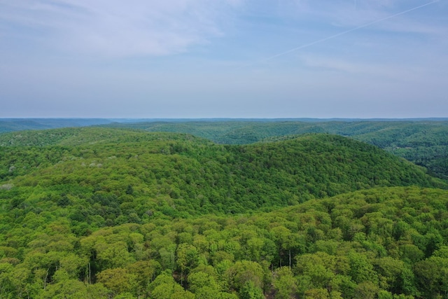 000 Old Township Rd, Coudersport, PA 16915 - photo 4