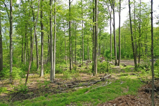 000 Old Township Rd, Coudersport, PA 16915 - photo 3