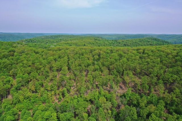 000 Old Township Rd, Coudersport, PA 16915 - photo 1